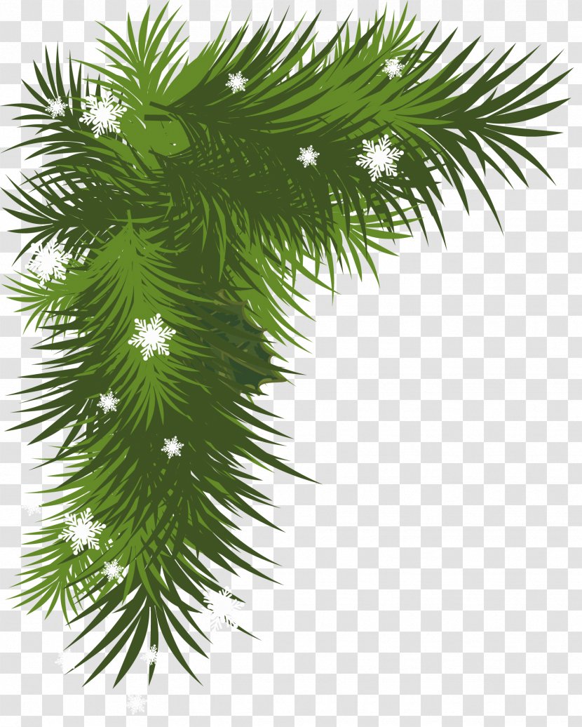 Christmas Decoration Tree Clip Art - Arecales - Snowy Pine Branch Picture Transparent PNG