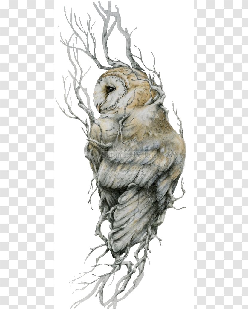 Barn Owl Tattoo Drawing Bird - Of Prey Transparent PNG