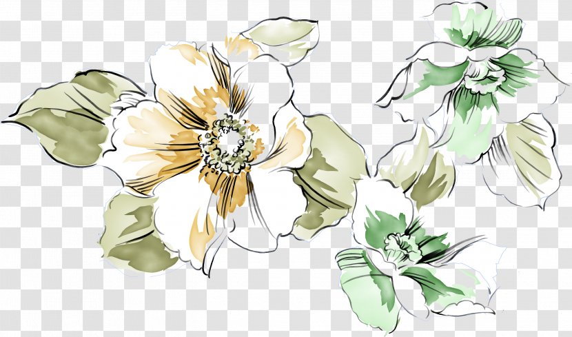 Drawing Petal Painting Illustration - Plant - Flowers,flowers Transparent PNG