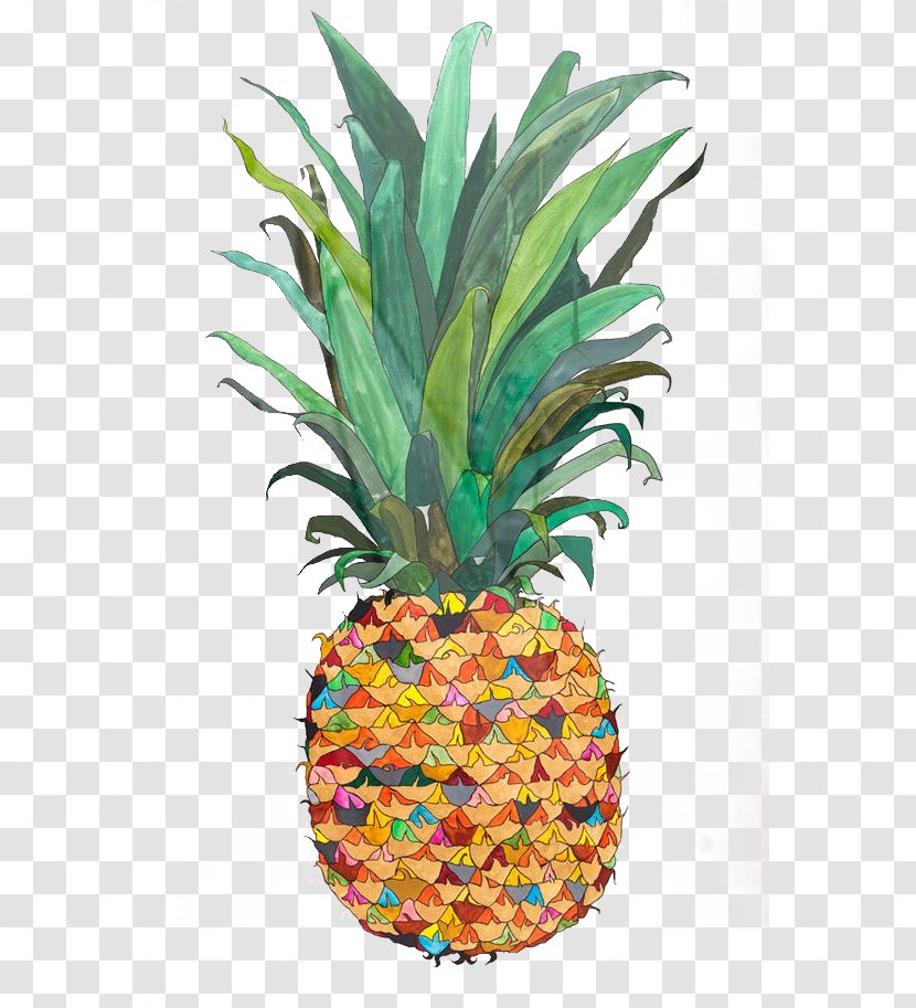 Pineapple Drawing Watercolor Painting Fruit Illustration Transparent PNG