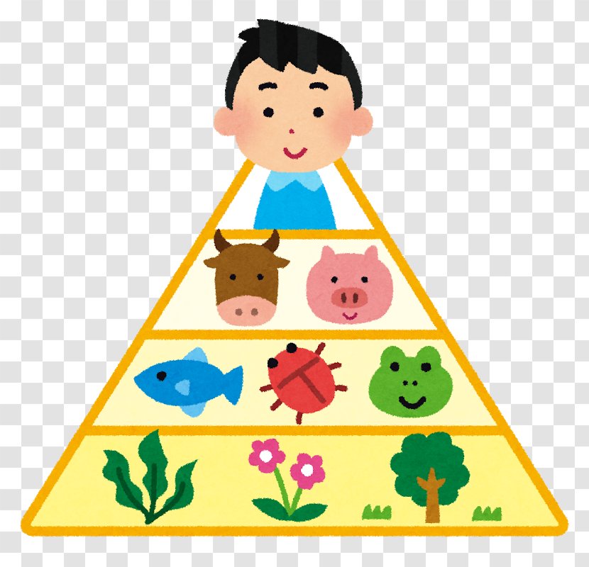 Food Chain Nutrient Eating Organism - Heart - Pyramid Transparent PNG