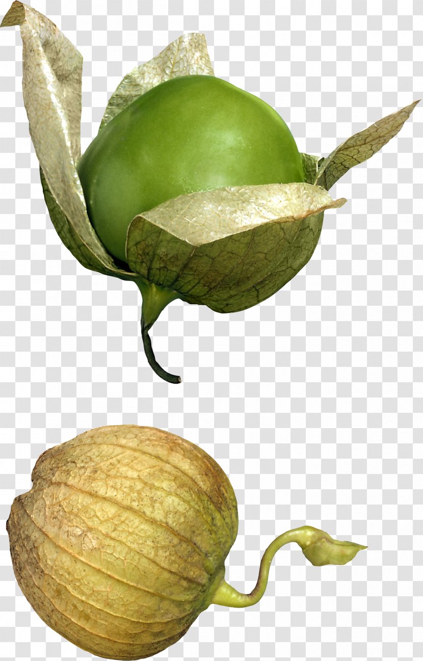 Tomatillo Mexican Cuisine Vegetable Food Fruit - Berry Transparent PNG