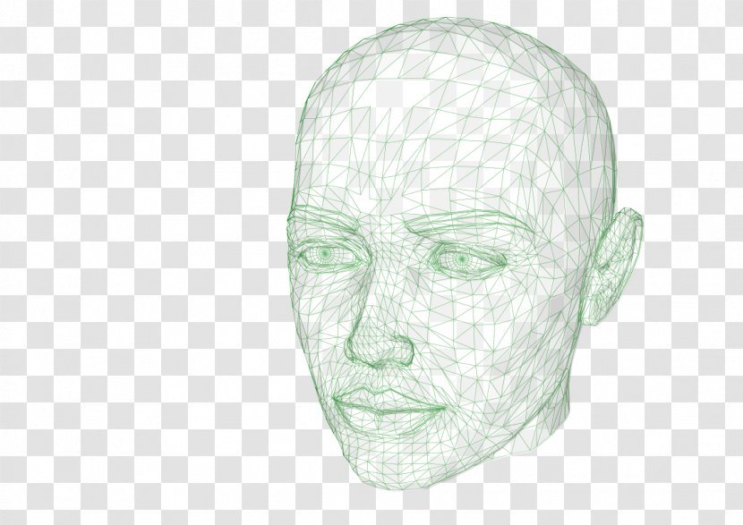 Human Head Drawing Clip Art - Homo Sapiens Transparent PNG