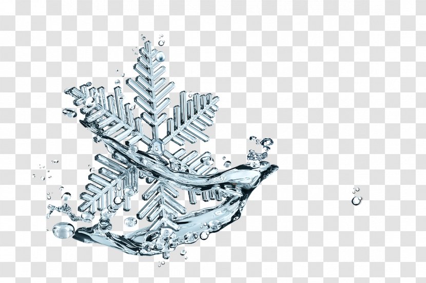 Snowflake Ice - Technology Transparent PNG