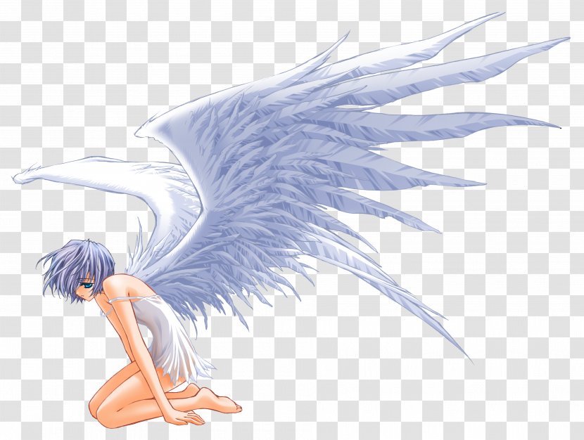 Drawing Angel - Fairy - Wings Transparent PNG