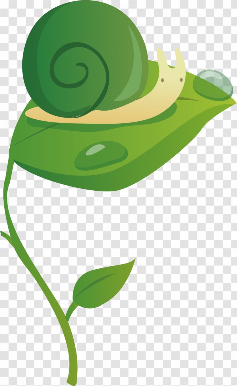 Clip Art - Green - Snail Transparent PNG