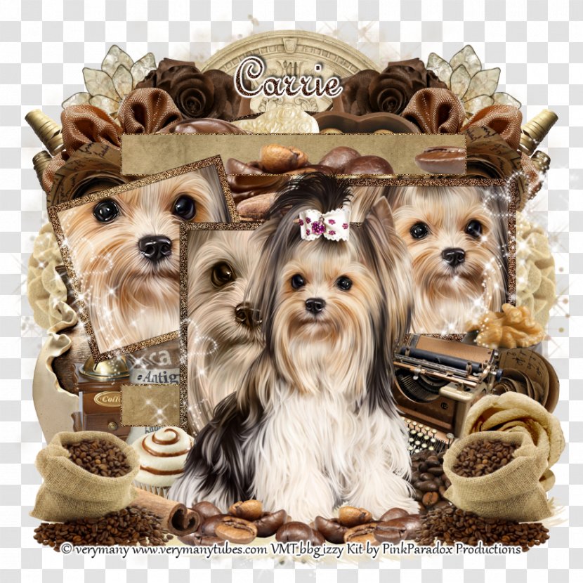 Yorkshire Terrier Morkie Puppy Dog Breed Companion - Small Transparent PNG