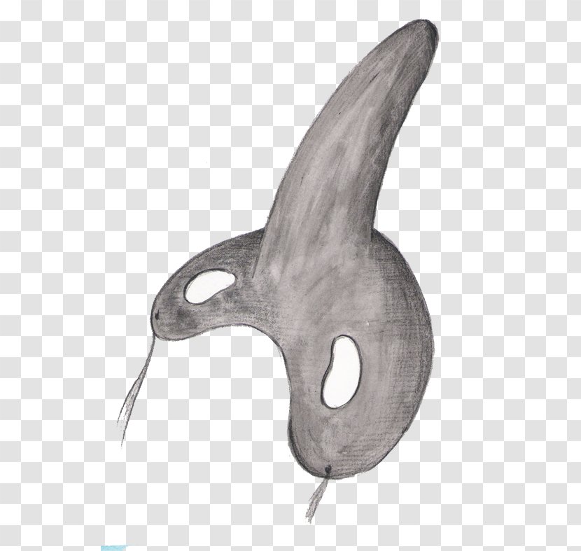 Mask Shark Description Photography - Marine Mammal Transparent PNG