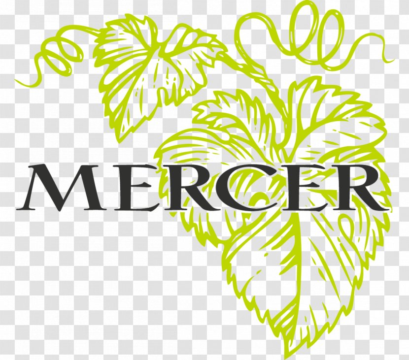 Mercer Wine Estate Columbia Valley AVA Sauvignon Blanc White - Green Transparent PNG