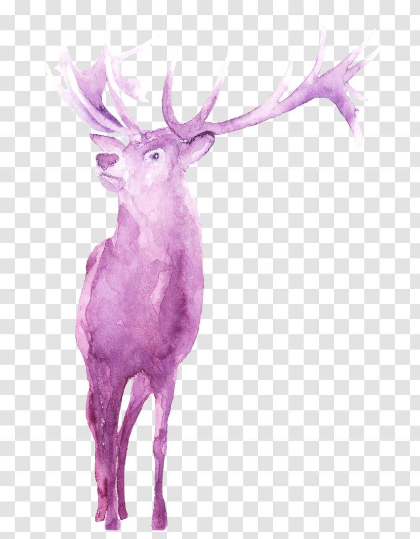 Reindeer Antler Character Fiction - Horn Transparent PNG
