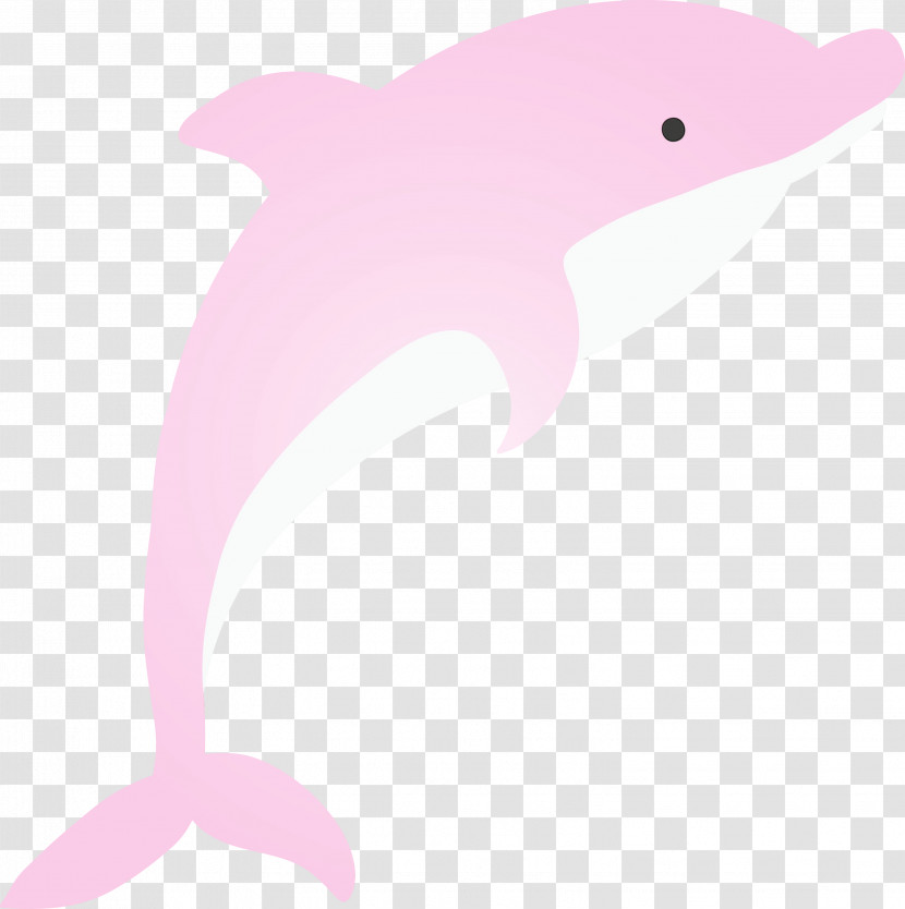 Dolphin Pink Bottlenose Dolphin Cetacea Fin Transparent PNG