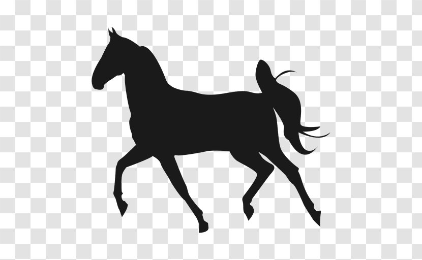 Mustang Mangalarga Marchador Stallion - Pony Transparent PNG