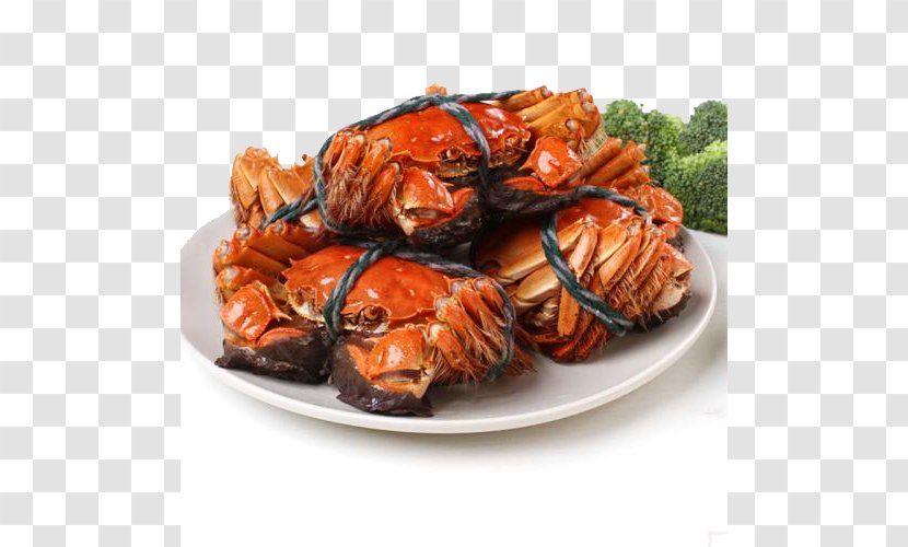 Yangcheng Lake Crab Seafood Lobster Prawn - Animal Source Foods - Hairy Crabs Transparent PNG