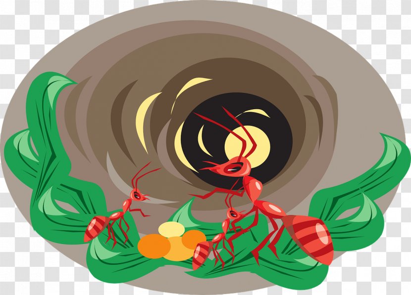The Ants Ant Colony Insect Clip Art - Drawing - Gray Cave Transparent PNG