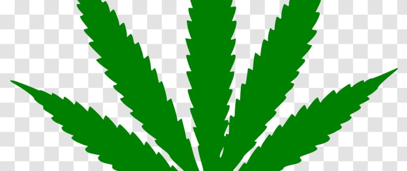 Medical Cannabis 420 Day Leaf Dispensary - Decal Transparent PNG