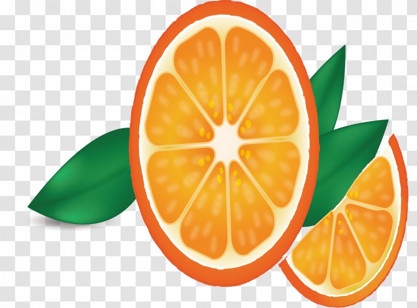 Orange Juice Lemon - Drink - Fresh Transparent PNG