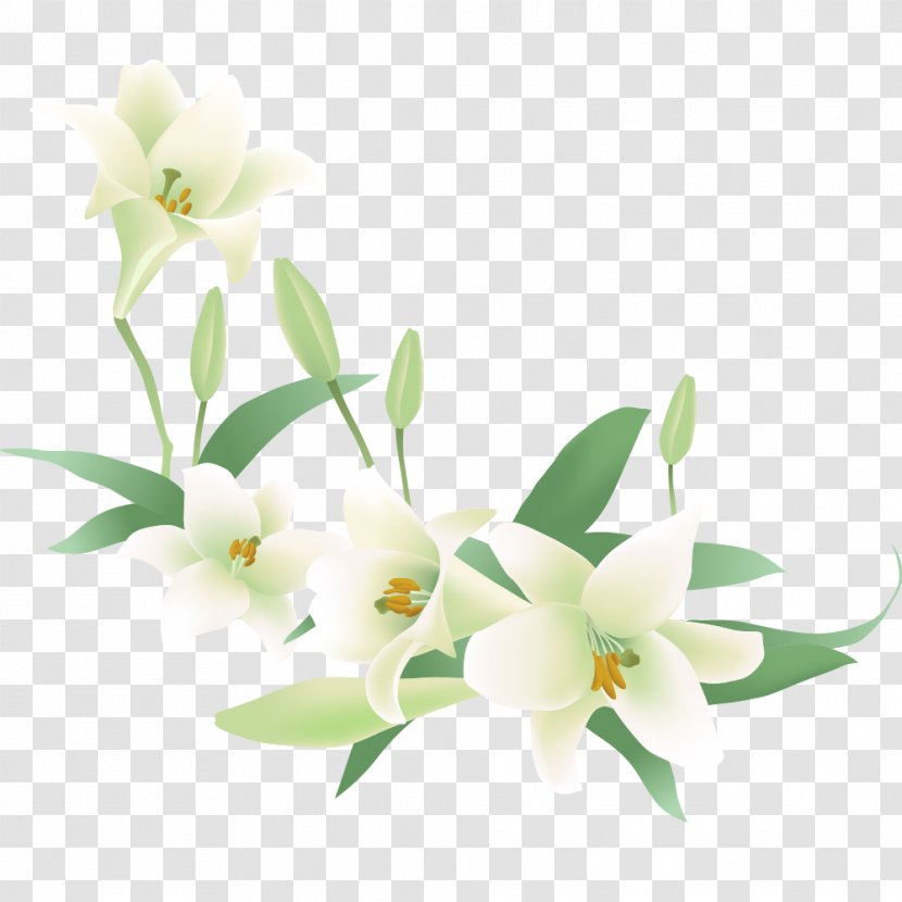 Vector Graphics Flower Clip Art Floral Design - Orchid Transparent PNG