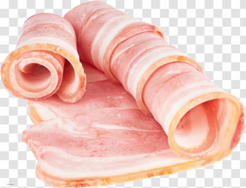 Sausage Bacon Roll Ham - Back Transparent PNG