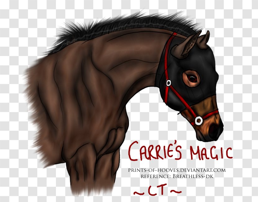 Horse Racing Stallion Pony Mustang Trainer - Head Transparent PNG