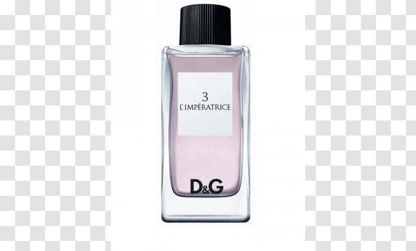 Dolce & Gabbana Perfume Eau De Toilette Light Blue Osmoz Transparent PNG