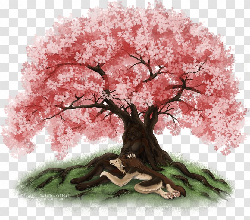 DeviantArt Cherry Blossom ST.AU.150 MIN.V.UNC.NR AD Houseplant - Heartbeats - CherryTree Transparent PNG