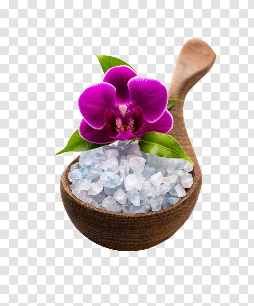 Salt Download - Petal - Wooden Spoon In The Health Of Coarse Transparent PNG