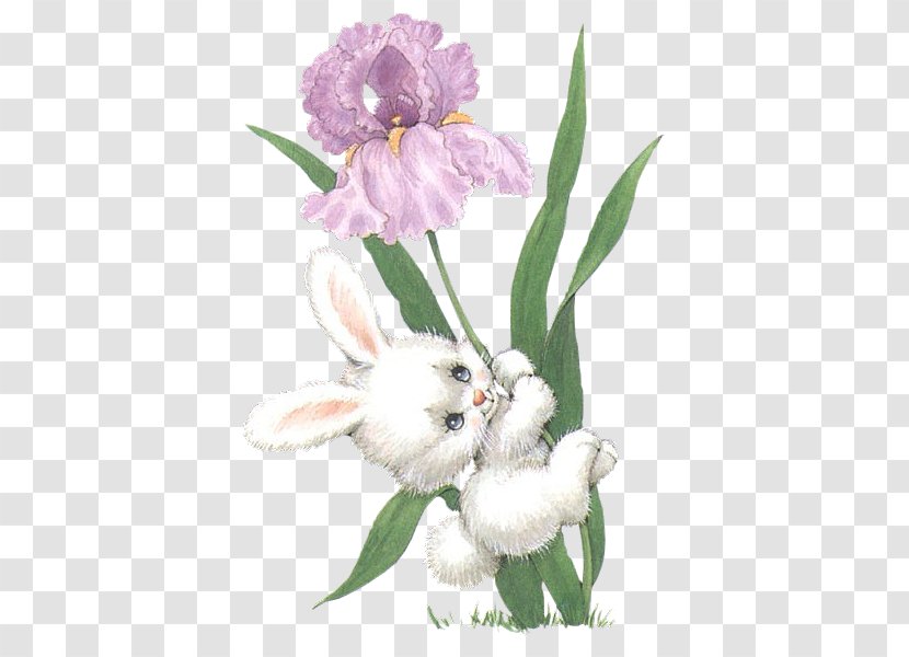 Easter Bunny European Rabbit Hare - Animal Transparent PNG