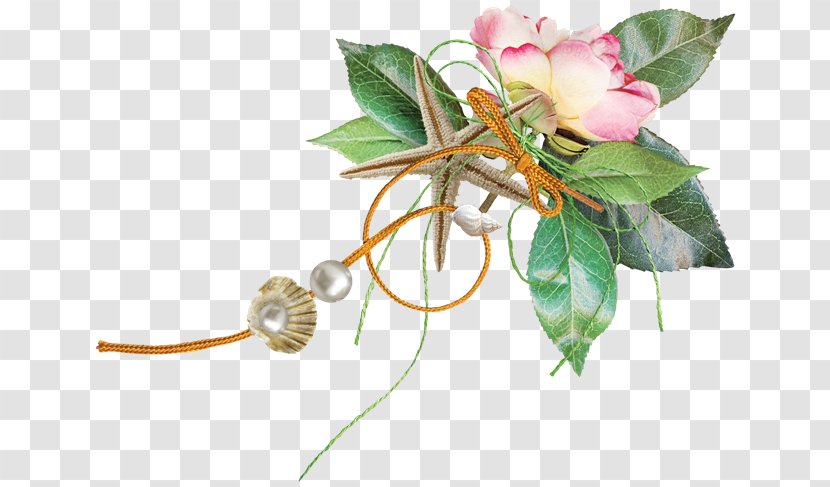 Rose Family Cut Flowers Floristry Plant Stem - Branch Transparent PNG
