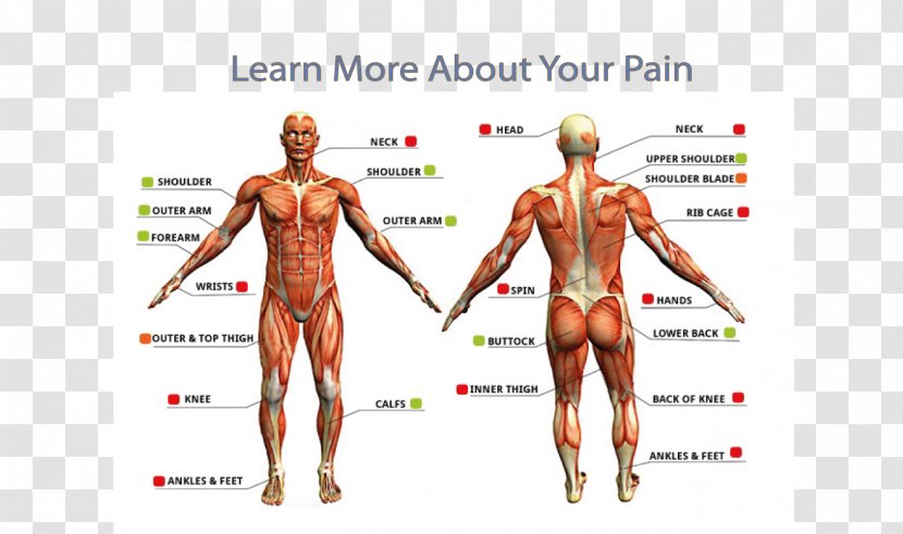 Tattoo Removal Pain Scale Tolerance - Cartoon - Tree Transparent PNG