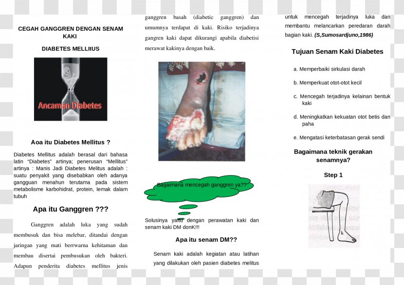 Diabetes Mellitus Gangrene Diabetic Foot Wound - Advertising - Chart Leaflets Transparent PNG