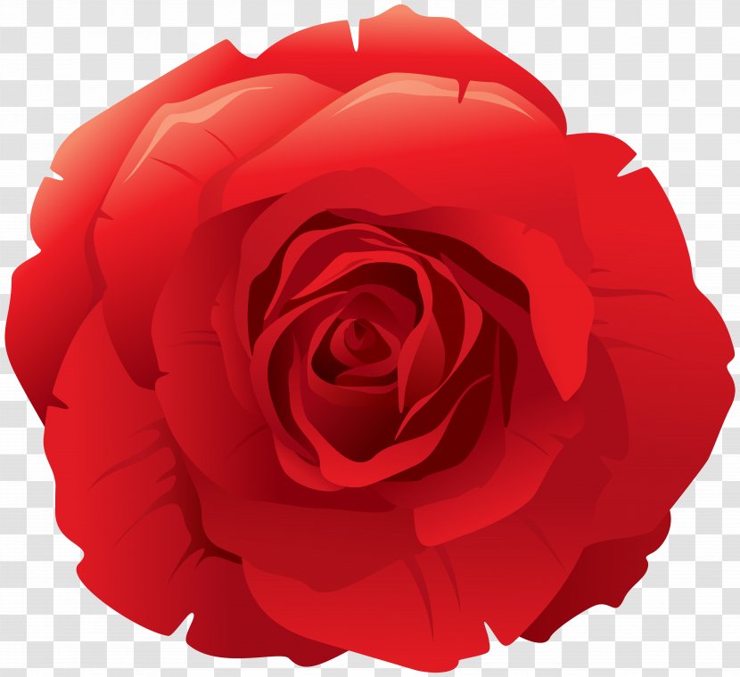 Image File Formats Lossless Compression - Plant - Red Rose Decorative Clip Art Transparent PNG