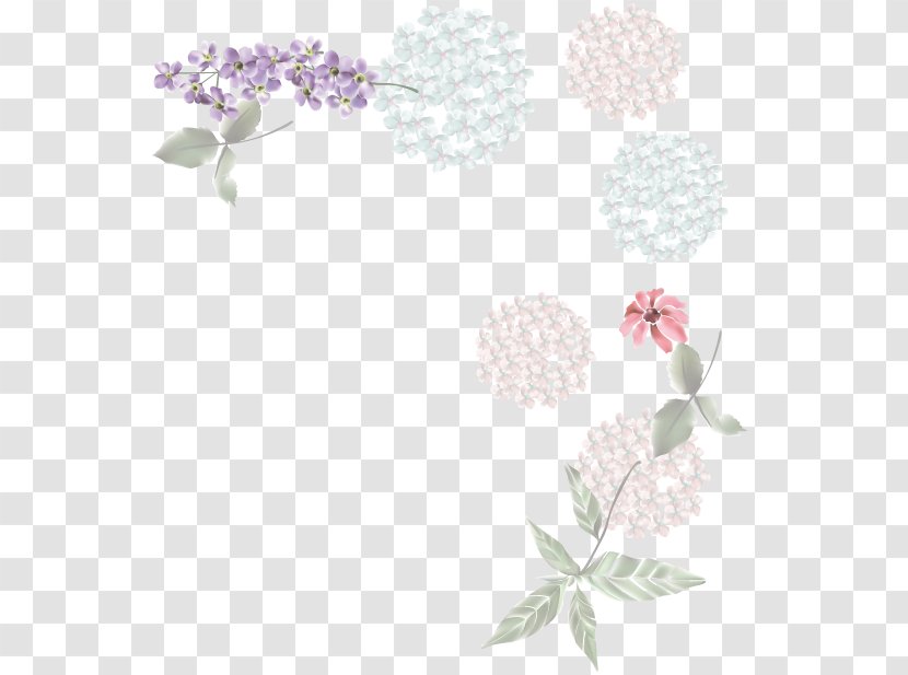 Floral Design Flowering Plant Pattern - Petal - Chou Transparent PNG