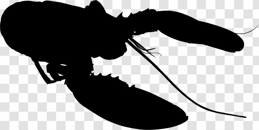 Insect Clip Art Silhouette Line Pest - Membrane Transparent PNG