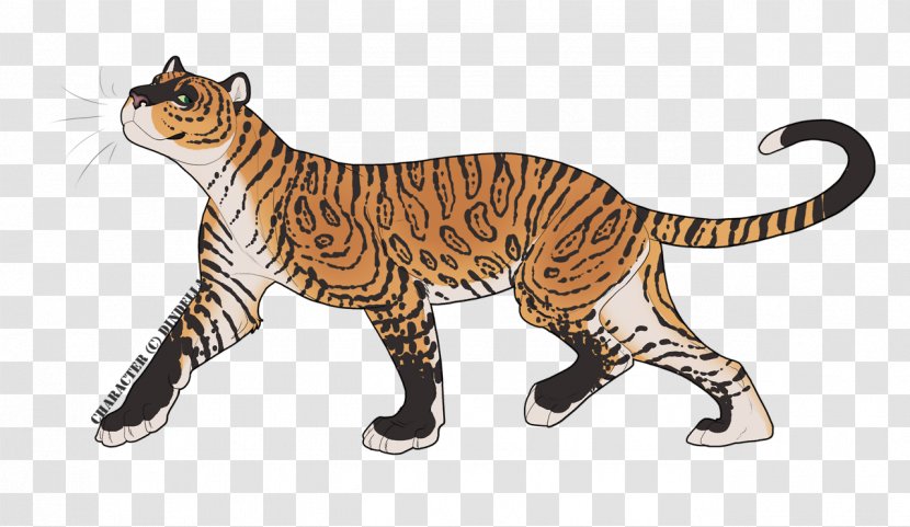 Domestic Short-haired Cat Tiger Artist - Terrestrial Animal Transparent PNG