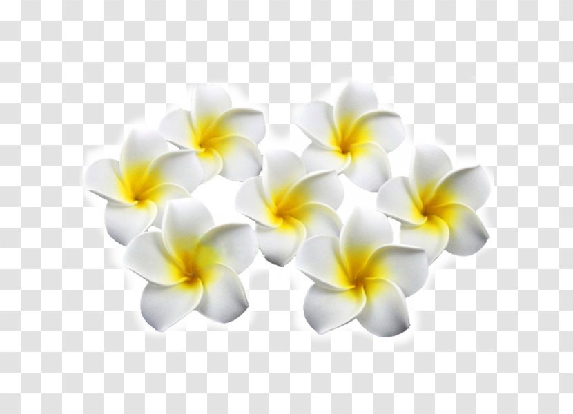 Artificial Flower Plumeria Rubra Clothing Accessories Barrette - Yellow Transparent PNG