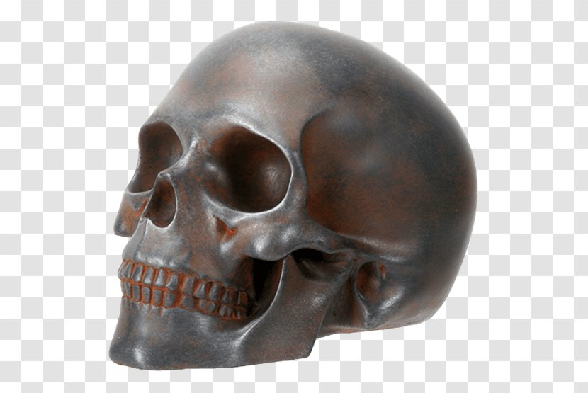 Skull Wood Carving Human Skeleton Halloween - Vertebral Column Transparent PNG