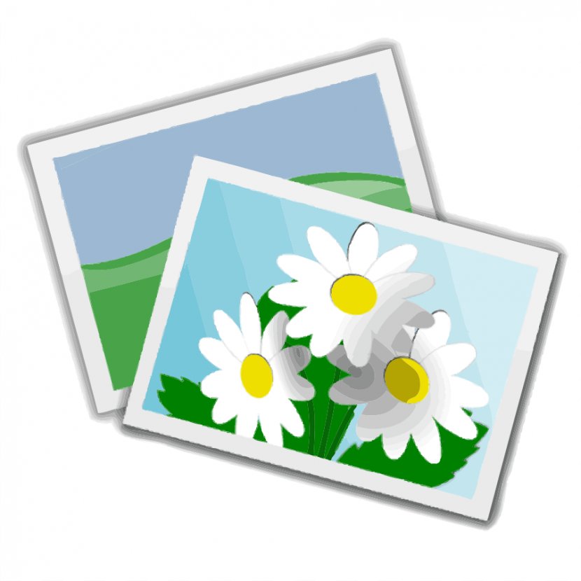 Free Content Photography Clip Art - Green - Photographs Cliparts Transparent PNG