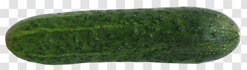 Pickled Cucumber Vegetable Food - Lettuce - Salad Transparent PNG