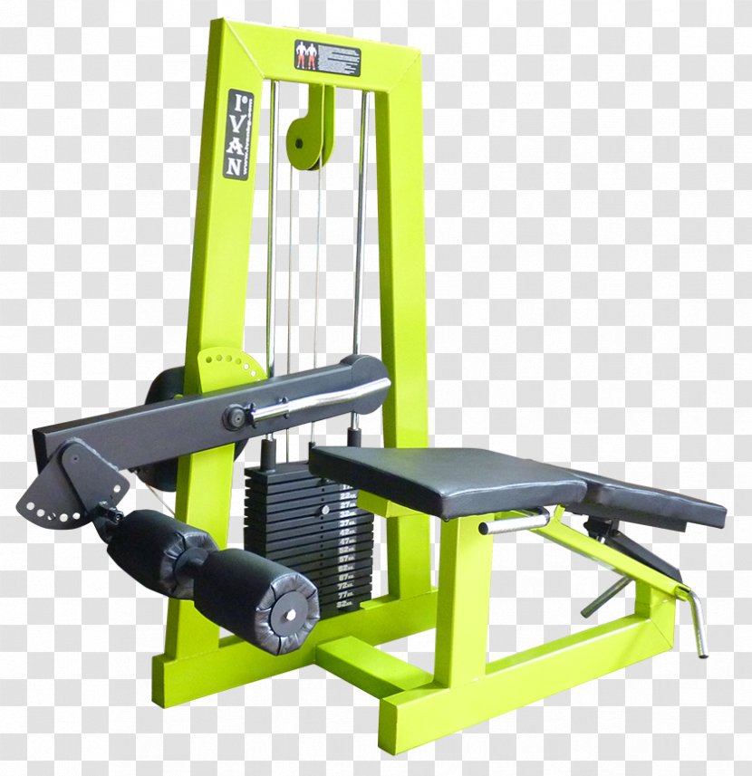 Weightlifting Machine Fitness Oborudvane Ivan Price - Gym - Asen Ii Of Bulgaria Transparent PNG