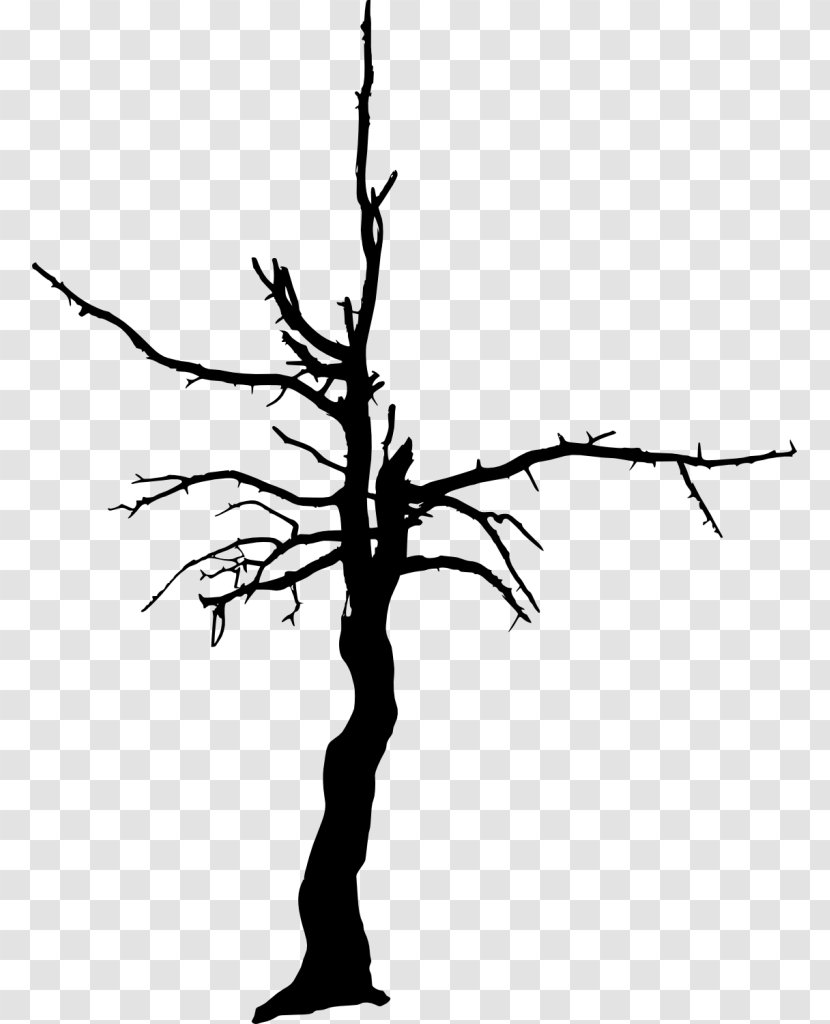 Twig Tree Trunk Clip Art - Bark Transparent PNG