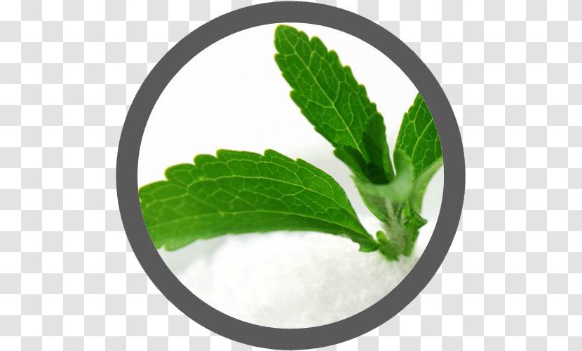 Stevia Candyleaf Extract Sugar Substitute Food - Health Transparent PNG