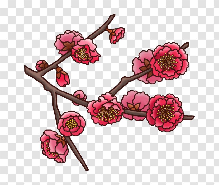 Plum Blossom Floral Design U5bd2 Flower - Color Transparent PNG