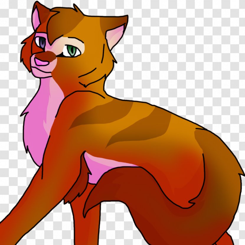 Kitten Whiskers Red Fox Cat Horse - Vertebrate Transparent PNG