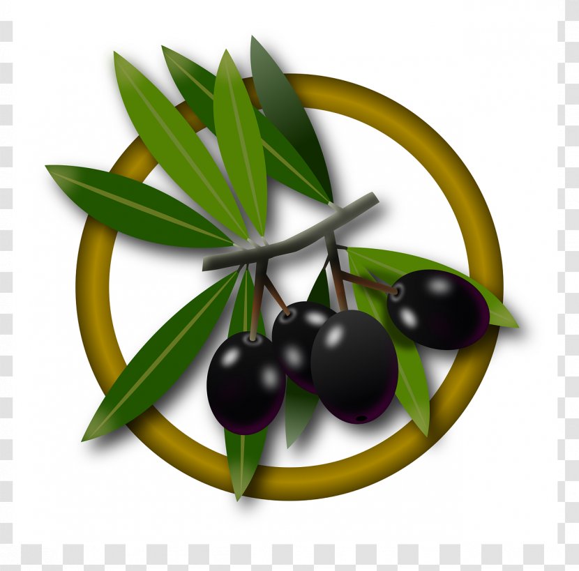 Olive Oil Fruit Transparent PNG