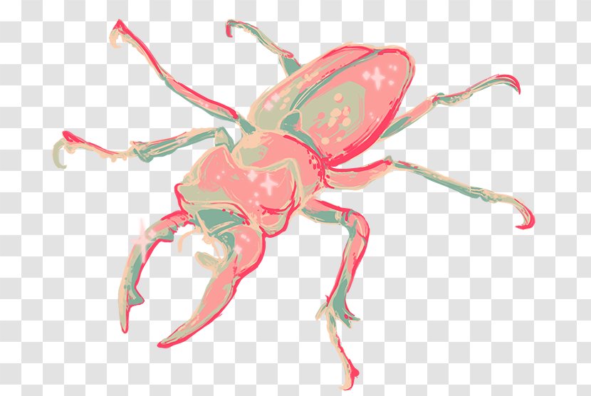 Pittsburgh Insect Weevil Anteater Pest - Entomology - Scutelle Transparent PNG