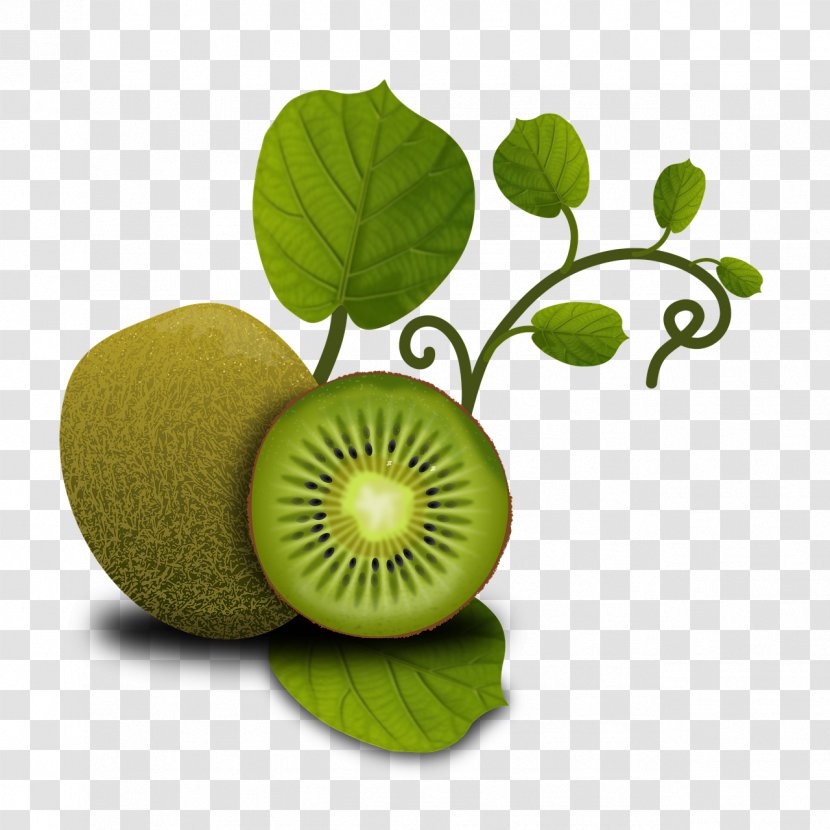 Kiwifruit Food Health Orange - Kiwi Transparent PNG