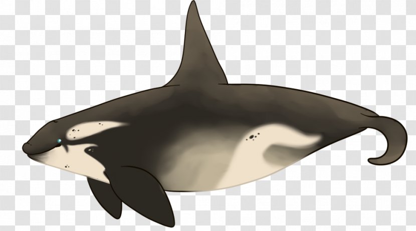 Tucuxi White-beaked Dolphin Killer Whale Fauna - Whales Dolphins And Porpoises - Design Transparent PNG