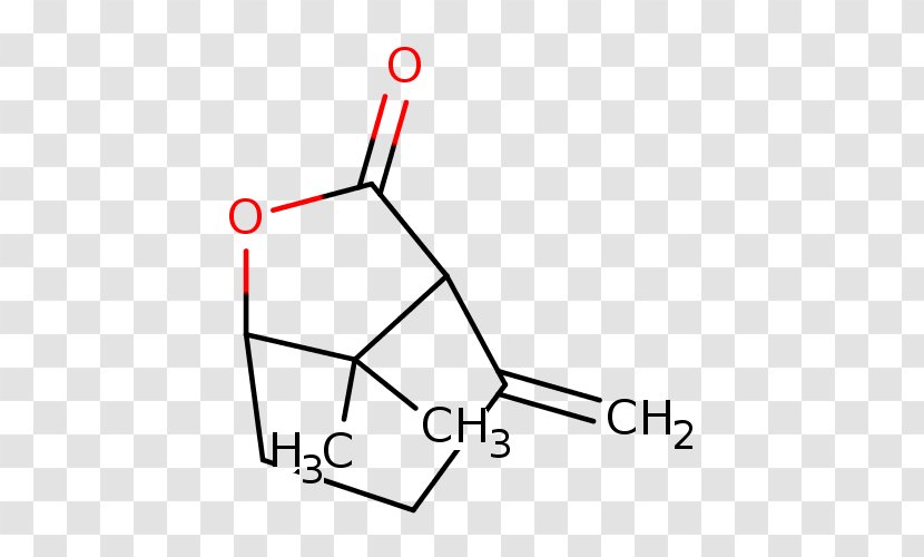 Ether Amine Carboxylic Acid Ester Aryl - Chemical Compound - Aliphatic Transparent PNG