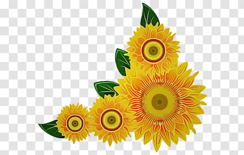Sunflower - Cut Flowers - Flowering Plant Transparent PNG