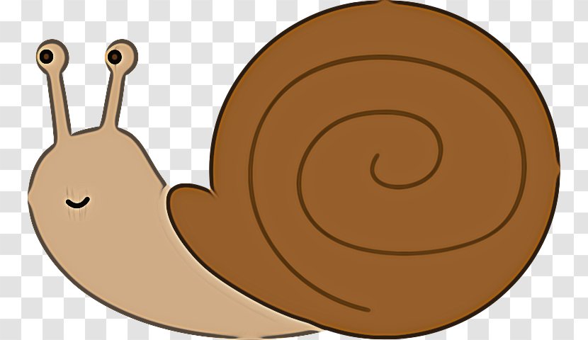 Pie Cartoon - Sea Snail - Slug Invertebrate Transparent PNG